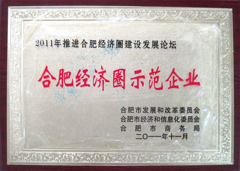 2011合肥經濟圈示范企業