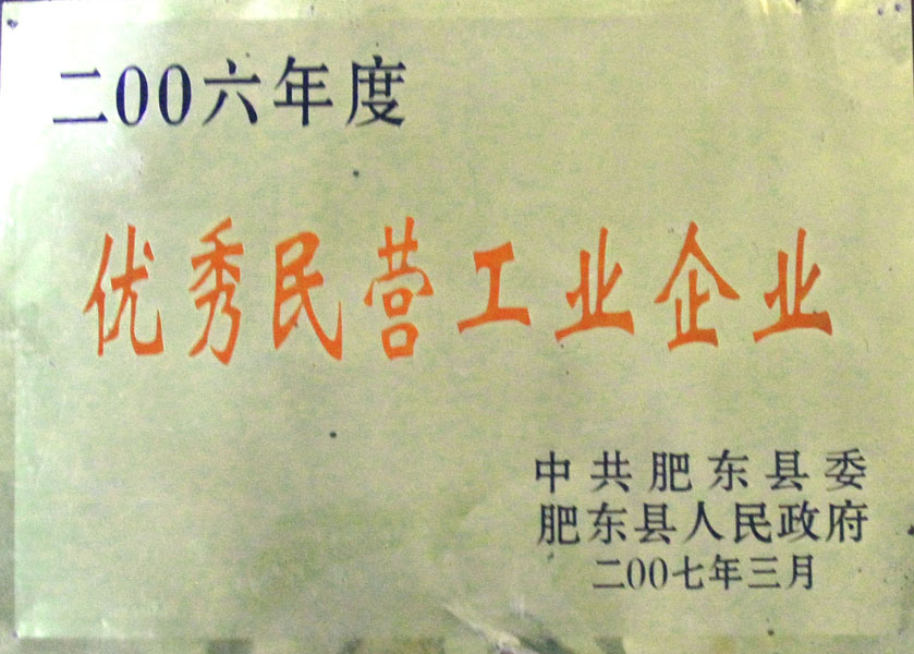 2006年度優(yōu)秀民營工業(yè)企業(yè)